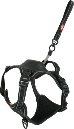 Zolux Harnais Chien EasyRide Avec Laisse Enrouleur Noir M