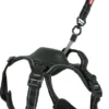 Zolux Harnais Chien EasyRide Avec Laisse Enrouleur Noir XL
