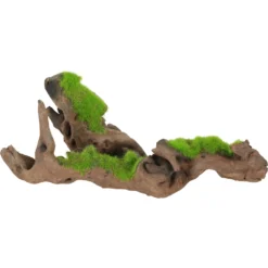 Zolux Racine De Malaisie Kipouss Pour Aquarium Taille S