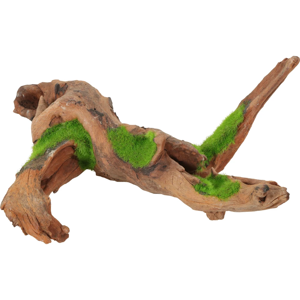 Zolux Racine De Malaisie Kipouss Pour Aquarium Taille M 1 Zolux Racine De Malaisie Kipouss Pour Aquarium Taille M