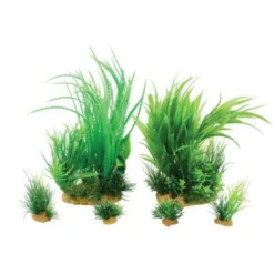 Zolux Kit De 6 Plantes Artificielles Jalaya N1 - Pour Aquarium 5 Zolux Kit De 6 Plantes Artificielles Jalaya N1 - Pour Aquarium -Zolux Soldes Boutique 63cbbb4adc2445.45339012
