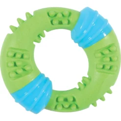 Zolux Jouet Anneau Sunset 15 Cm Vert Pour Chien