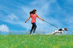 Zolux - Harnais De Sécurité Auto Pour Chien 19 Zolux - Harnais De Sécurité Auto Pour Chien -Zolux Soldes Boutique 6490