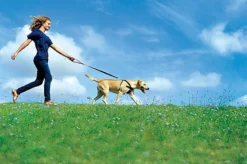 Zolux - Harnais De Sécurité Auto Pour Chien 22 Zolux - Harnais De Sécurité Auto Pour Chien -Zolux Soldes Boutique 6543