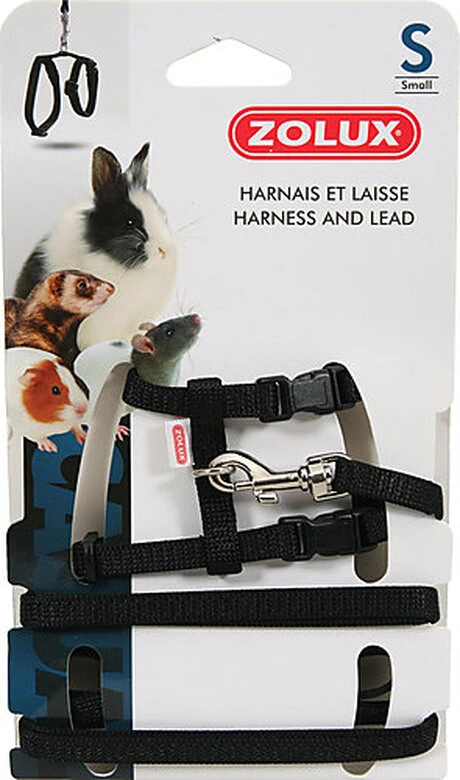 Zolux - Kit Harnais Et Laisse Noir Pour N.A.C 2 Zolux - Kit Harnais Et Laisse Noir Pour N.A.C – Image 2