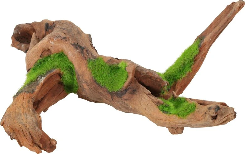 Zolux - Racine Malaisie Naturelle Kipouss Pour Aquarium - M 1 Zolux - Racine Malaisie Naturelle Kipouss Pour Aquarium - M