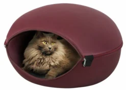 Zolux Dôme Louna 2 En 1 Bordeaux Pour Chat