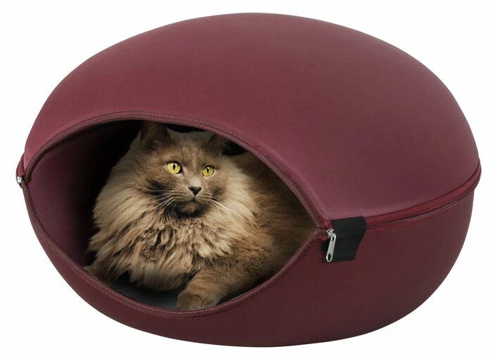 Zolux Dôme Louna 2 En 1 Bordeaux Pour Chat 1 Zolux Dôme Louna 2 En 1 Bordeaux Pour Chat