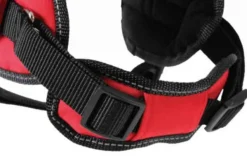 Zolux Harnais Confort Réglable MOOV Rouge S - Destockage -Zolux Soldes Boutique zolux harnais confort re glable s4