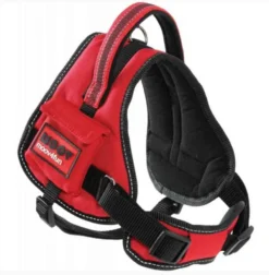 Zolux Harnais Confort Réglable MOOV Rouge S - Destockage -Zolux Soldes Boutique zolux harnais confort re glable s5