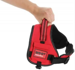 Zolux Harnais Confort Réglable MOOV Rouge S - Destockage -Zolux Soldes Boutique zolux harnais confort re glable s6