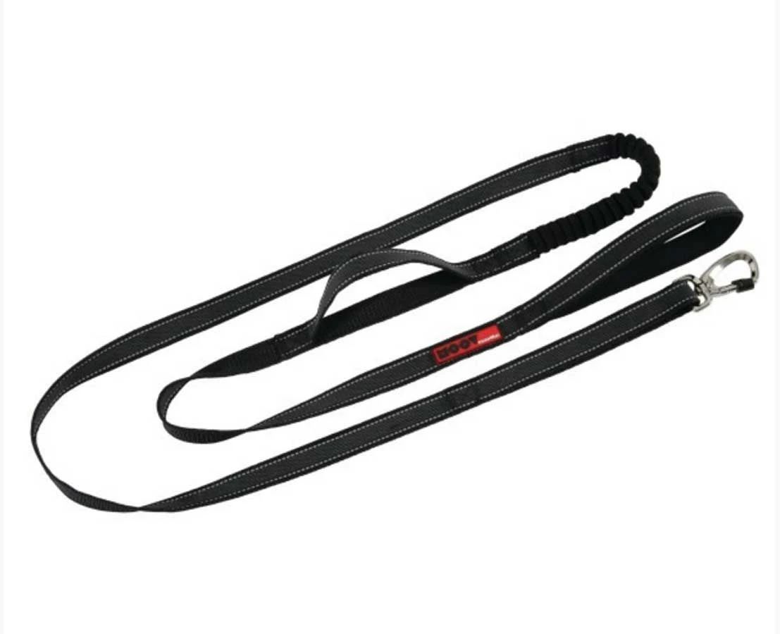 Zolux Laisse Randonnée MOOV Noir 2 M 40 2 Zolux Laisse Randonnée MOOV Noir 2 M 40 – Image 2