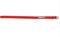 Zolux Collier En Cuir Piqué Rouge 40 Cm - Destockage