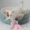 Zolux Corbeille Dream Puppy Bleu 45 Cm - Destockage