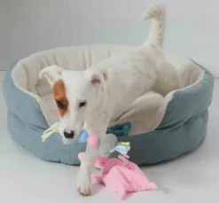 Zolux Corbeille Dream Puppy Bleu 45 Cm - Destockage