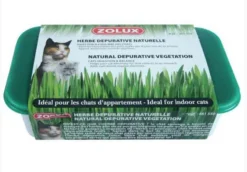 Zolux Herbe Dépurative Naturelle Pour Chat 250 G -Zolux Soldes Boutique zolux herbe depurative naturelle pour chat 250 g3